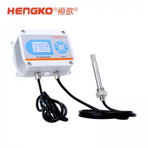 HG 808 D系列露點測量儀_ 工業壓縮氣體干燥露點儀測量